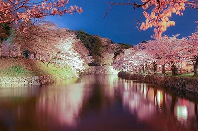 s 17663802 137383010130577 8045066742952624128 n - 滋賀縣護國神社で御朱印をいただきました！彦根城にも立ち寄ってみよう！